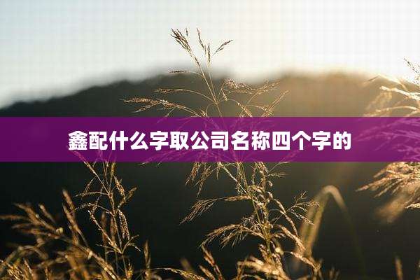 鑫配什么字取公司名称四个字的