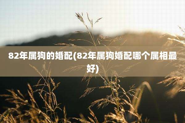 82年属狗的婚配(82年属狗婚配哪个属相最好)