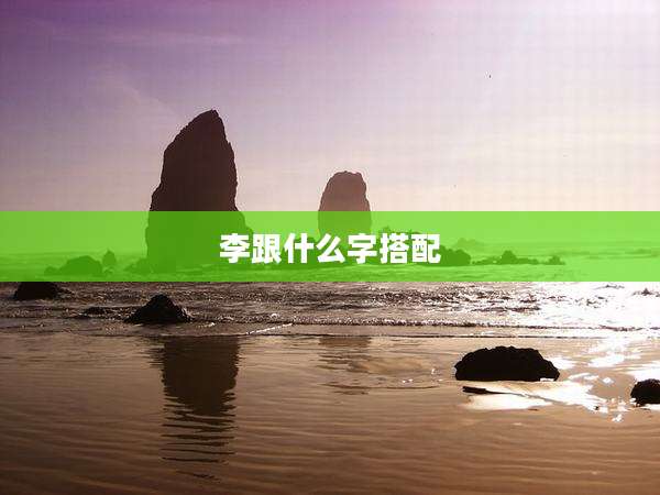 李跟什么字搭配