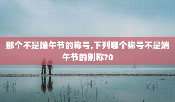 那个不是端午节的称号,下列哪个称号不是端午节的别称?0