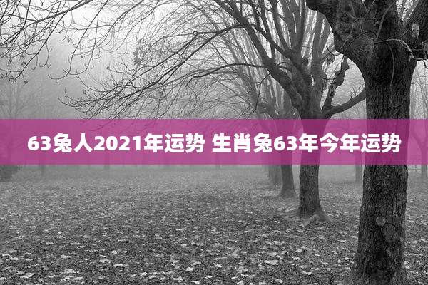 63兔人2021年运势 生肖兔63年今年运势