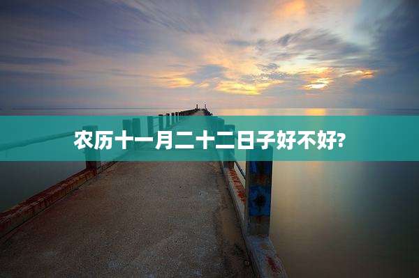 农历十一月二十二日子好不好?