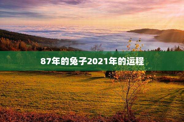 87年的兔子2021年的运程