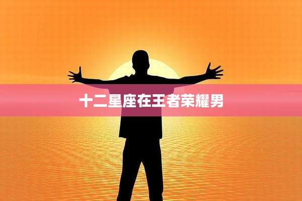 十二星座在王者荣耀男