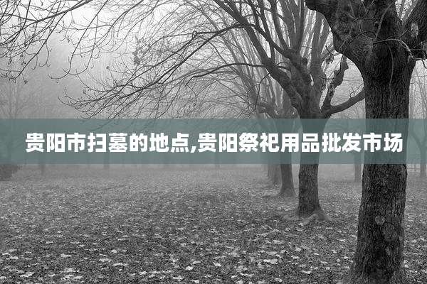 贵阳市扫墓的地点,贵阳祭祀用品批发市场