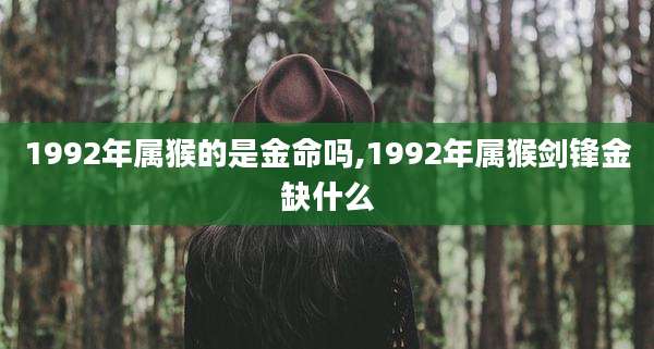1992年属猴的是金命吗,1992年属猴剑锋金缺什么