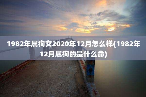 1982年属狗女2020年12月怎么样(1982年12月属狗的是什么命)