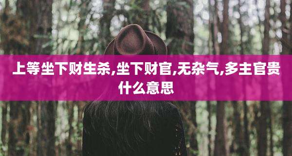 上等坐下财生杀,坐下财官,无杂气,多主官贵什么意思