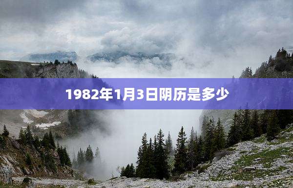 1982年1月3日阴历是多少