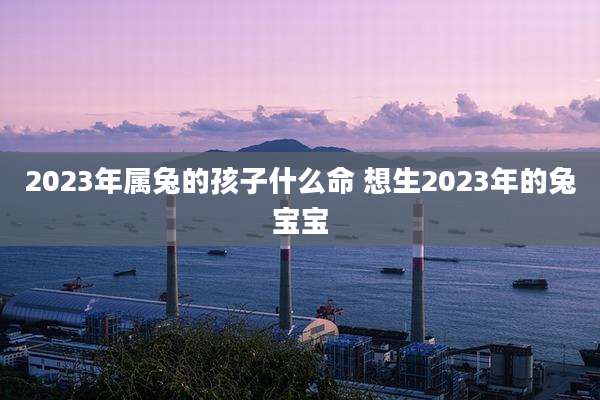 2023年属兔的孩子什么命 想生2023年的兔宝宝