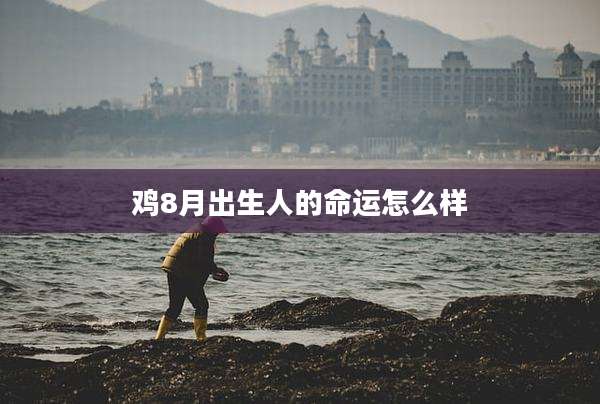 鸡8月出生人的命运怎么样