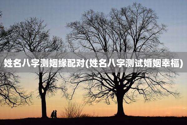 姓名八字测姻缘配对(姓名八字测试婚姻幸福)