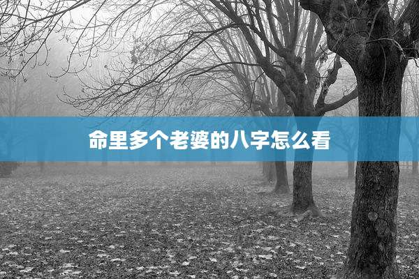 命里多个老婆的八字怎么看