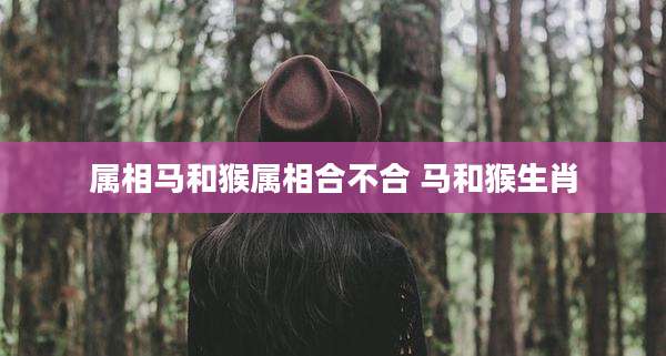 属相马和猴属相合不合 马和猴生肖