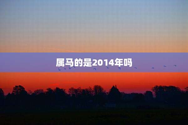 属马的是2014年吗