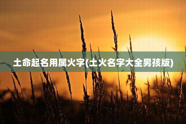 土命起名用属火字(土火名字大全男孩版)