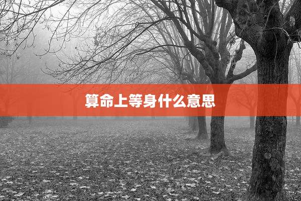 算命上等身什么意思
