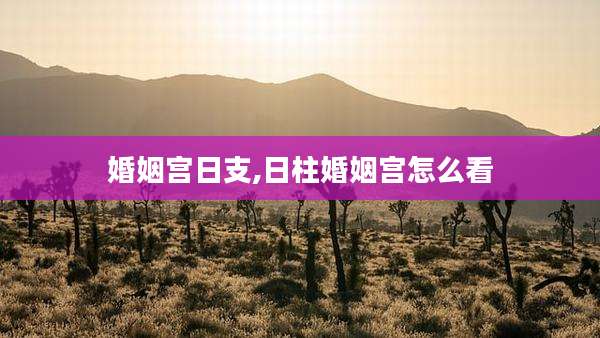 婚姻宫日支,日柱婚姻宫怎么看