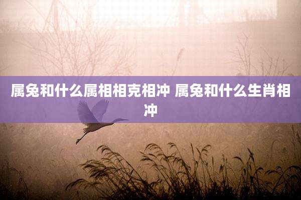 属兔和什么属相相克相冲 属兔和什么生肖相冲