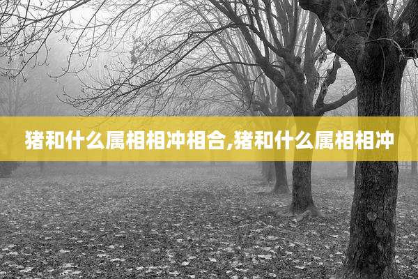 猪和什么属相相冲相合,猪和什么属相相冲