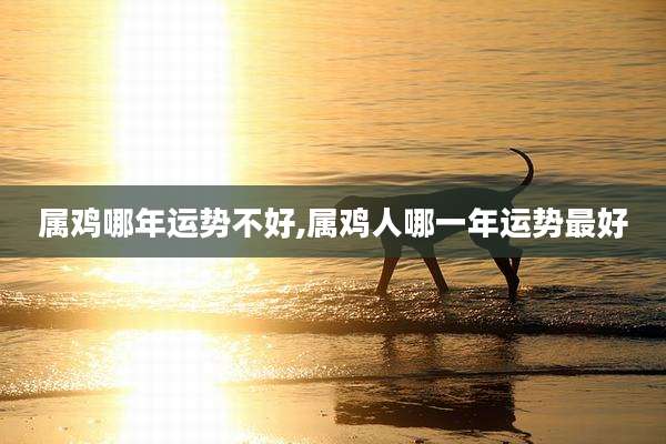 属鸡哪年运势不好,属鸡人哪一年运势最好
