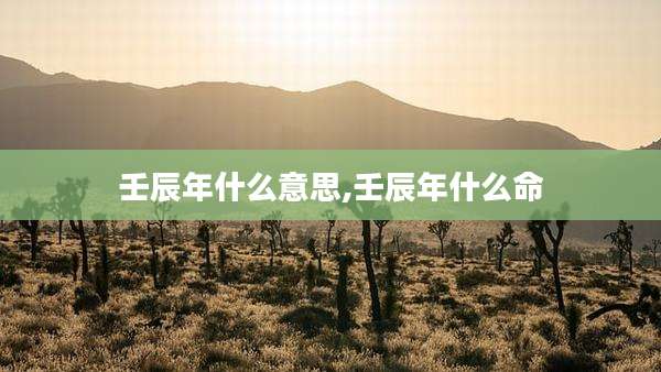 壬辰年什么意思,壬辰年什么命