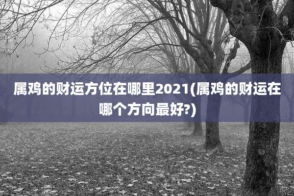 属鸡的财运方位在哪里2021(属鸡的财运在哪个方向最好?)