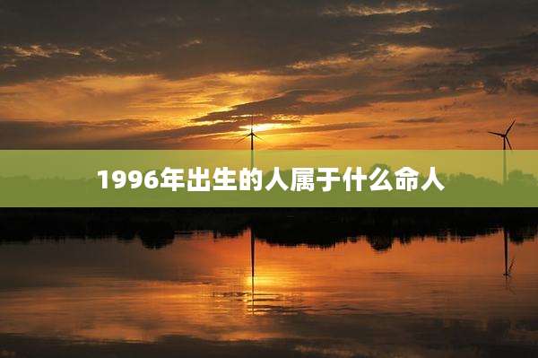 1996年出生的人属于什么命人