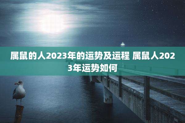 属鼠的人2023年的运势及运程 属鼠人2023年运势如何