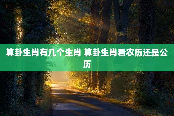 算卦生肖有几个生肖 算卦生肖看农历还是公历
