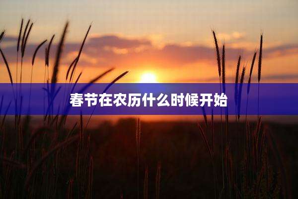 春节在农历什么时候开始