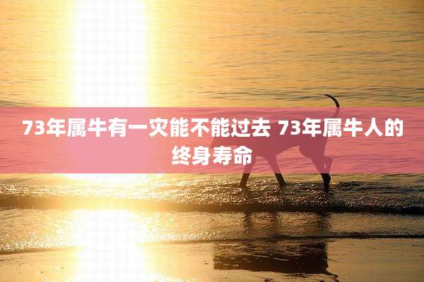 73年属牛有一灾能不能过去 73年属牛人的终身寿命