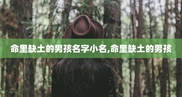 命里缺土的男孩名字小名,命里缺土的男孩