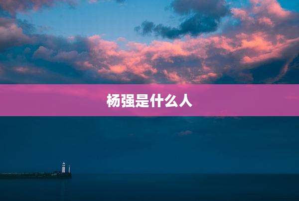 杨强是什么人