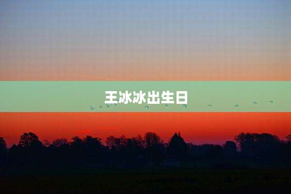 王冰冰出生日