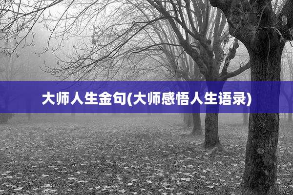 大师人生金句(大师感悟人生语录)