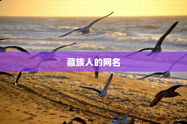 藏族人的网名