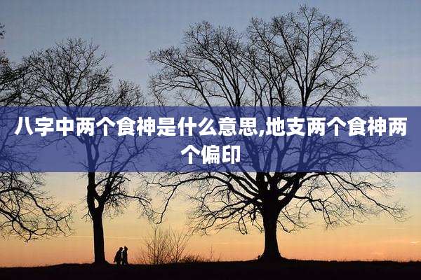 八字中两个食神是什么意思,地支两个食神两个偏印