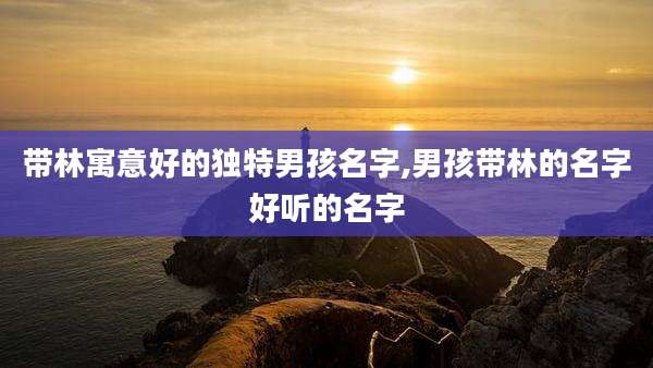 带林寓意好的独特男孩名字,男孩带林的名字好听的名字
