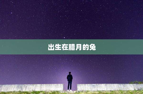 出生在腊月的兔