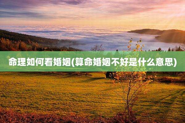 命理如何看婚姻(算命婚姻不好是什么意思)