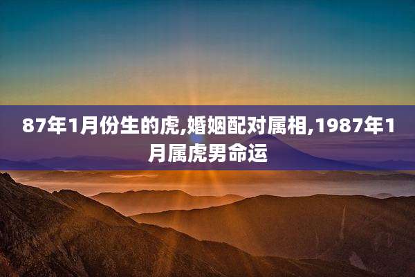 87年1月份生的虎,婚姻配对属相,1987年1月属虎男命运