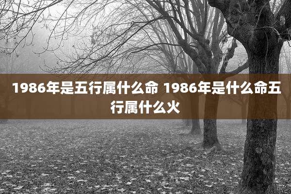 1986年是五行属什么命 1986年是什么命五行属什么火