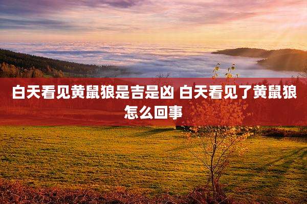 白天看见黄鼠狼是吉是凶 白天看见了黄鼠狼怎么回事