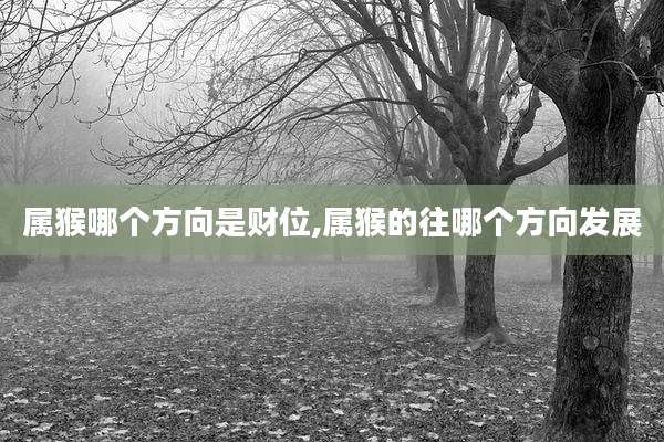 属猴哪个方向是财位,属猴的往哪个方向发展