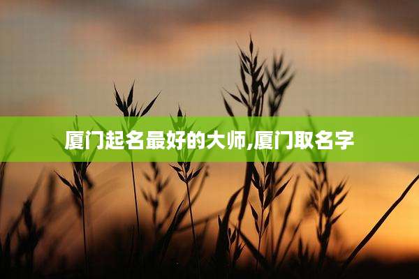 厦门起名最好的大师,厦门取名字