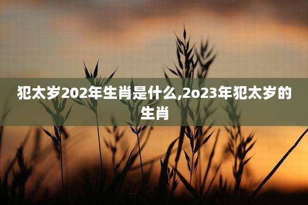 犯太岁202年生肖是什么,2o23年犯太岁的生肖