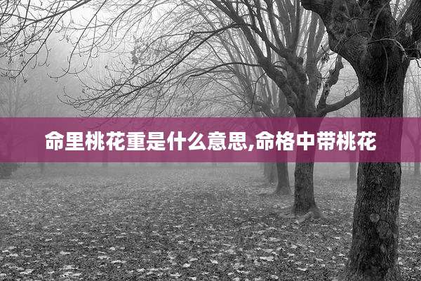 命里桃花重是什么意思,命格中带桃花