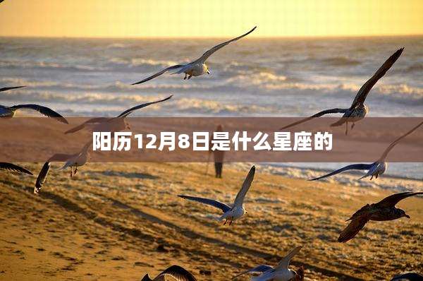 阳历12月8日是什么星座的
