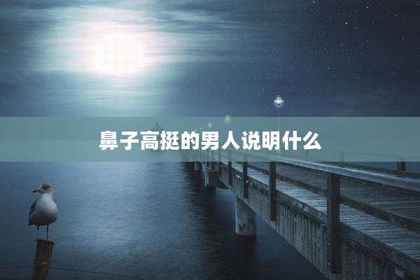 鼻子高挺的男人说明什么